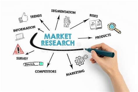 Market Research: Analyzing Opportunities